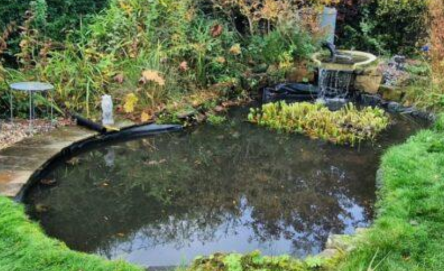 Pond Maintenance Near Me